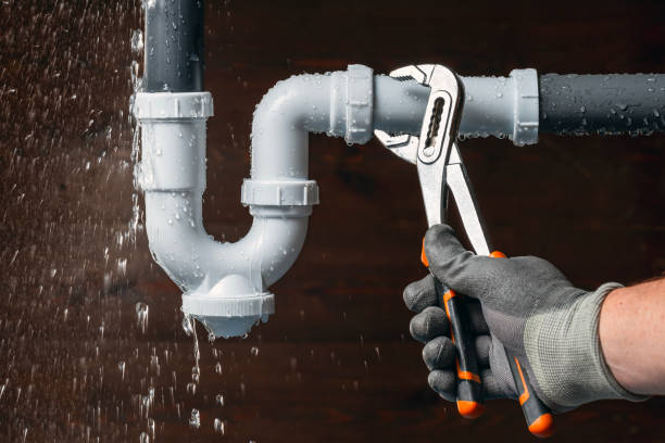 Professional Leak Detection technician working in Tovey, IL